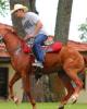 Daniel is single in Boca Raton, FL USA