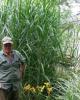 David is single in Hillsdale, MI USA