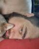 Ethan is single in Raymond, NH USA
