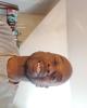 Edward is single in Bridgeville, DE USA