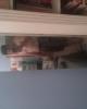 Cole is single in La Vernia, TX USA