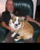 Dave is single in Belle Fourche, SD USA