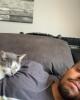 James is single in Jenkintown, PA USA