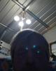 Mr is single in Keystone Heights, FL USA