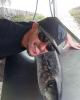 Jacob is single in Pomona Park, FL USA