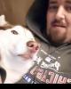 Dj is single in Hoopeston, IL USA