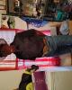 Littlemav is single in Hondo, TX USA
