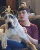 Josh is single in Bridgeville, PA USA