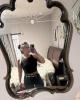 Chantil is single in Clackamas, OR USA