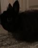 Susan is single in Newburgh, IN USA