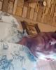 Terry is single in Jasper, GA USA