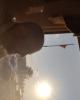 Chefck is single in Oviedo, FL USA