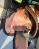 Ava Mila is single in Toronto, ON CAN