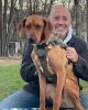 Rich is single in Centerport, NY USA