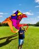 Matthew is single in Park City, IL USA