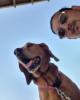 Ben is single in Revere, MA USA