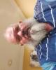 John is single in Shady Hills, FL USA