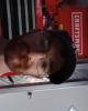 Cody is single in Noble, IL USA