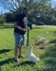Leo is single in Cantonment, FL USA