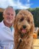 Monty is single in Yountville, CA USA
