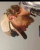 Daniel is single in Jemison, AL USA