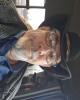 Jonathan is single in Byrnes Mill (Jefferson co.), MO USA
