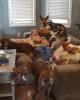 Shawn is single in South Amboy, NJ USA