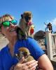 Anne is single in Avon, NY USA