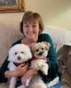 Lisa is single in Clairton, PA USA