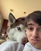 Roman is single in Amarillo, TX USA