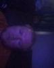 Bruce is single in Lanse, MI USA