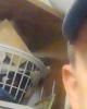 Lauran is single in Seattle, WA USA