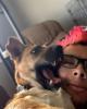 Jaxson is single in Colorado Springs, CO USA