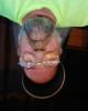 Howie is single in Niles, OH USA
