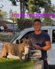 Lucas is single in Federal Way, WA USA