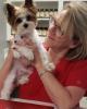 Sherry is single in Big Rock, TN USA