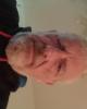 Valera is single in Leslie, AR USA