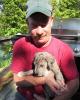 Timothy is single in Ossipee, NH USA