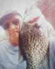 Rodney is single in Waldo, FL USA