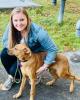 Alie is single in Merrimack, NH USA