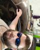 John is single in Pueblo, CO USA