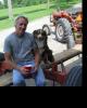 Bert is single in Greenwich, NY USA