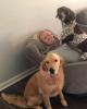 Myles is single in Richlands, NC USA