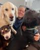 Al is single in New Canaan, CT USA