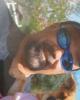 John is single in Shingle Springs, CA USA