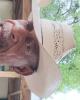 Joseph is single in DeRidder, LA USA