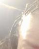Kathy is single in Germantown, MD USA