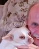 Robert is single in Sumrall, MS USA