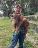 Justus is single in Middleburg, FL USA