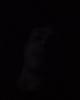 Jake is single in Vermilion, OH USA